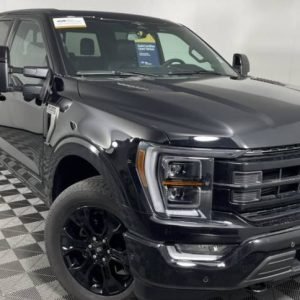 2023 Ford F-150 Platinum SuperCrew 5.5′ Box 4WD