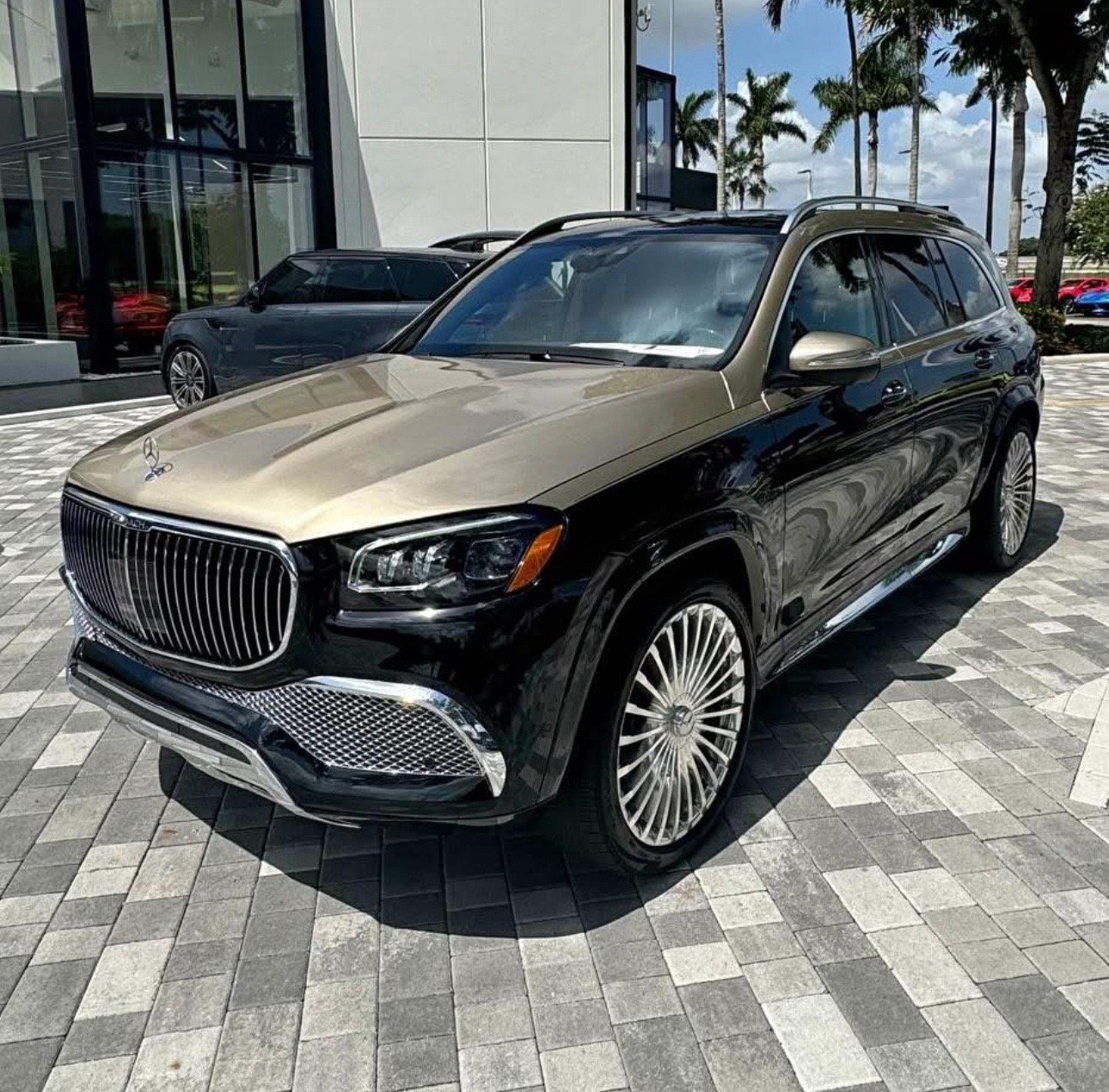 snaptik_7526714378742172942_1